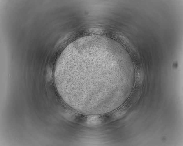 X0000089880705200707262209