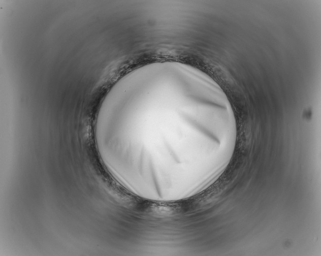 X0000089880706200707262209