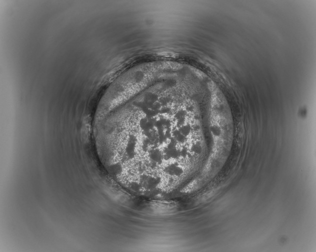 X0000089880707200707262209