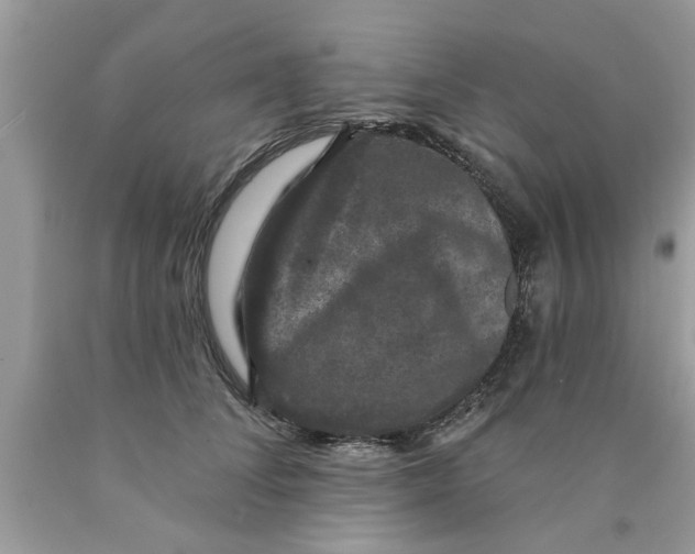 X0000089880708200707262209