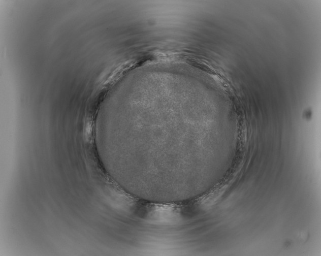 X0000089880709200707262209