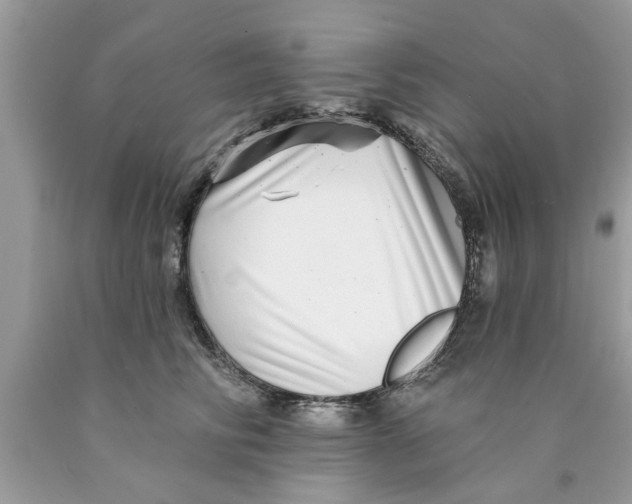 X0000089880710200707262209