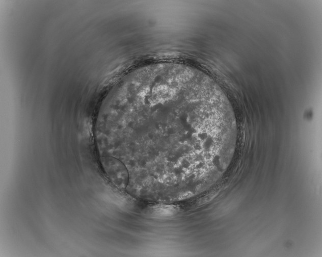 X0000089880711200707262209