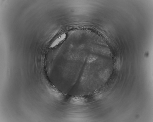 X0000089880712200707262209