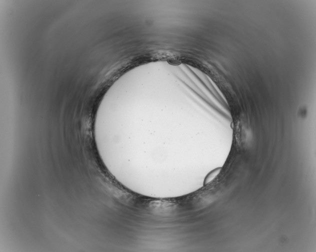 X0000089880714200707262209