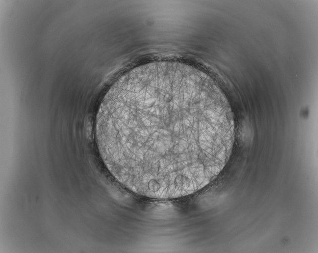 X0000089880715200707262209