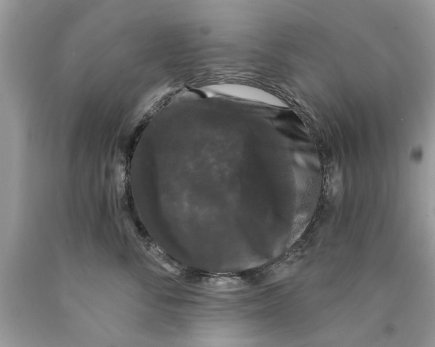 X0000089880716200707262209