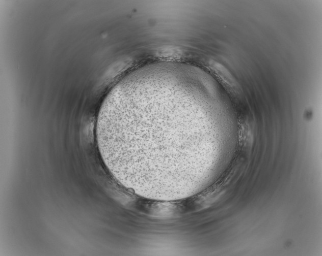 X0000089880717200707262209