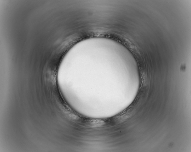 X0000089880719200707262209