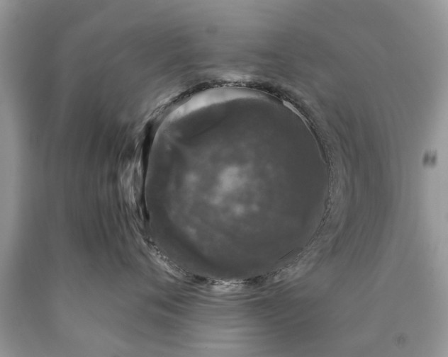 X0000089880720200707262209