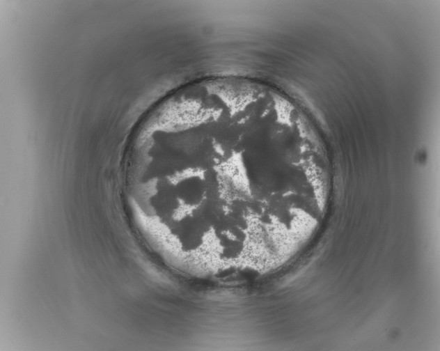 X0000089880721200707262209