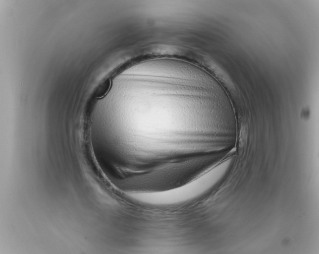 X0000089880722200707262209