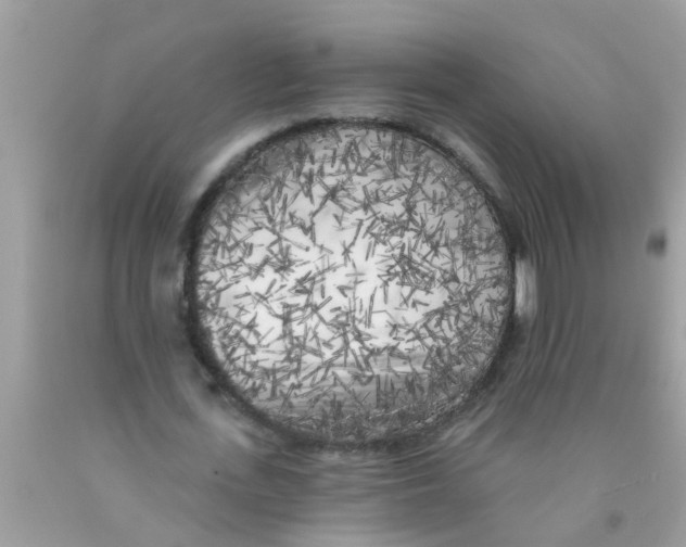 X0000089880723200707262209