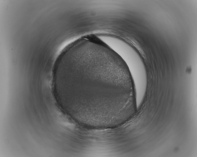 X0000089880724200707262209