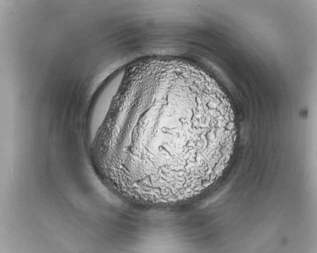 X0000089880725200707262209