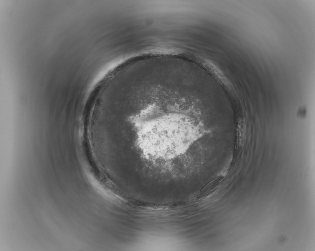 X0000089880726200707262209