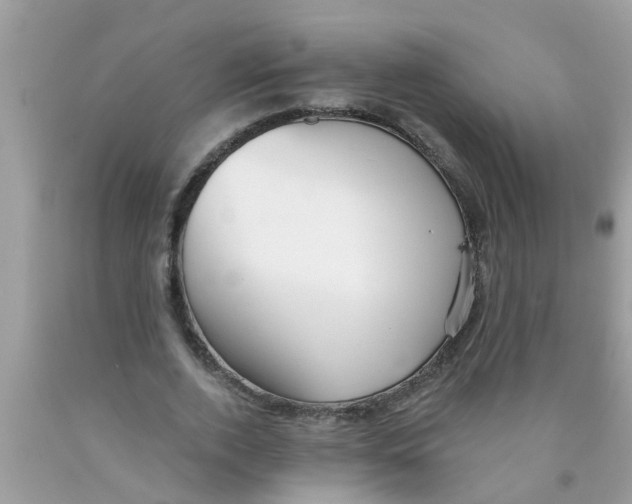 X0000089880728200707262209