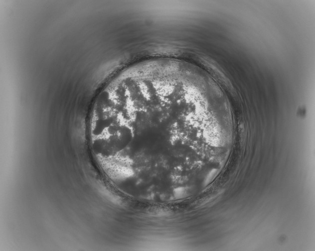 X0000089880729200707262209