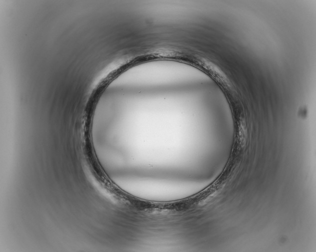 X0000089880730200707262209