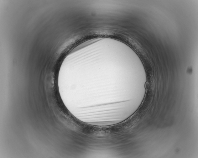 X0000089880731200707262209