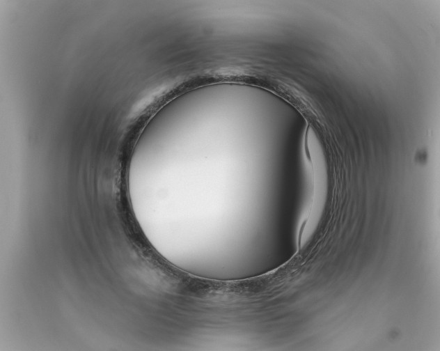 X0000089880732200707262209