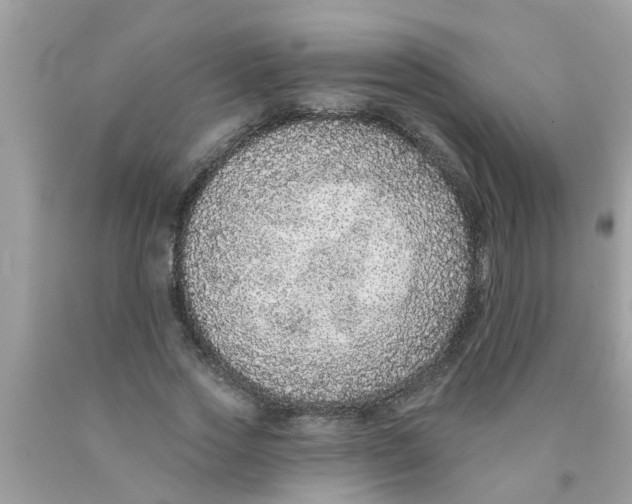 X0000089880733200707262209