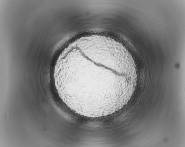 X0000089880734200707262209