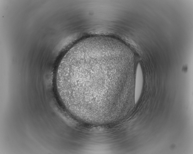 X0000089880735200707262209