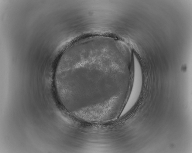 X0000089880736200707262209