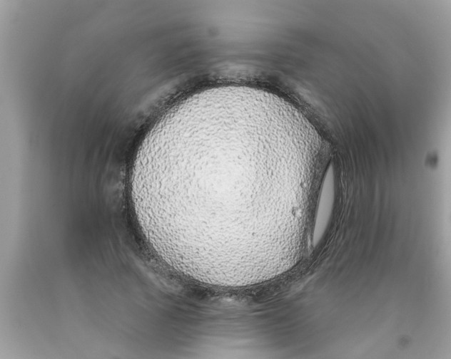 X0000089880737200707262209