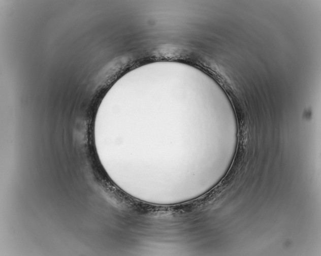 X0000089880738200707262209