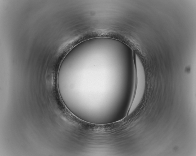 X0000089880740200707262209