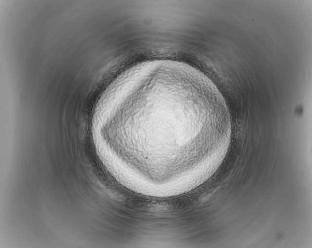 X0000089880741200707262209