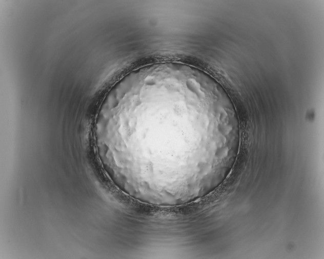 X0000089880742200707262209