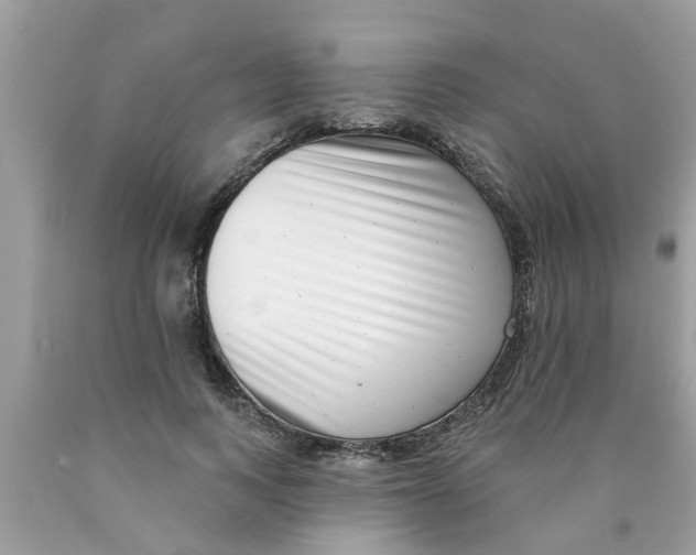 X0000089880743200707262209