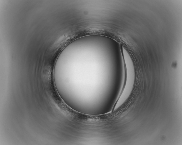 X0000089880744200707262209