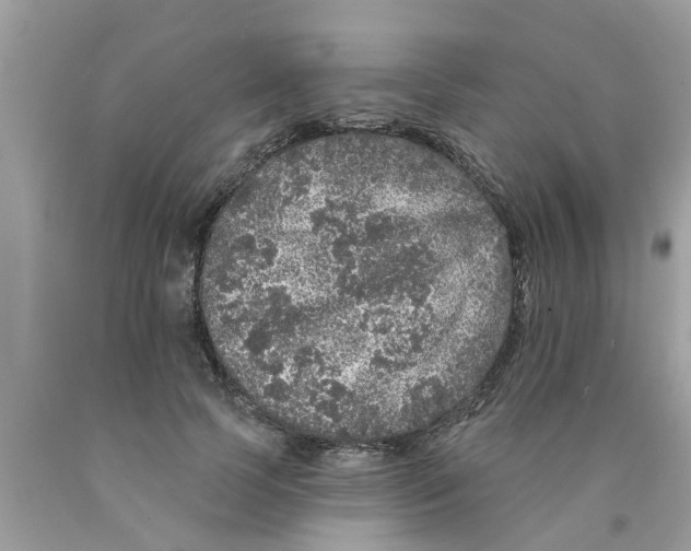 X0000089880745200707262209