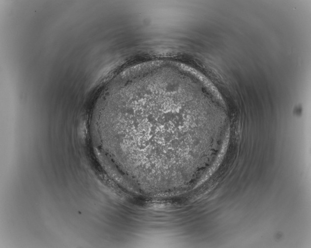 X0000089880746200707262209