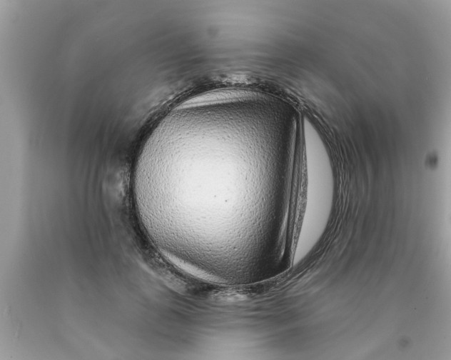 X0000089880747200707262209