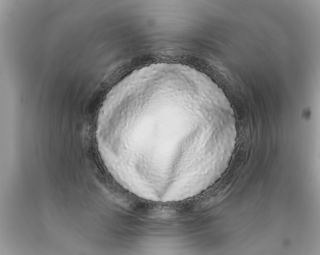 X0000089880749200707262209