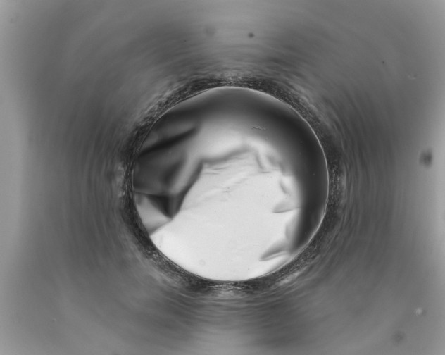 X0000089880750200707262209