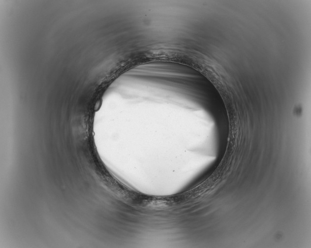 X0000089880751200707262209