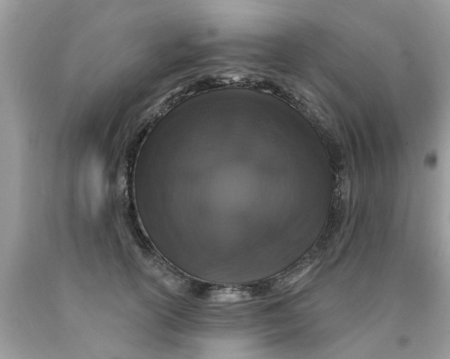 X0000089880754200707262209