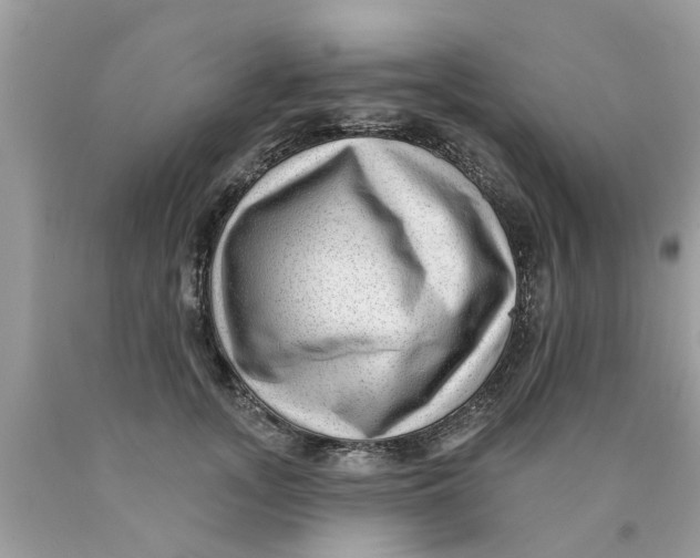 X0000089880755200707262209