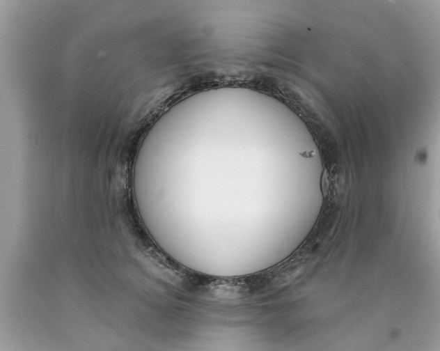 X0000089880756200707262209