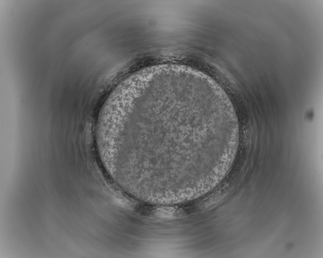 X0000089880757200707262209