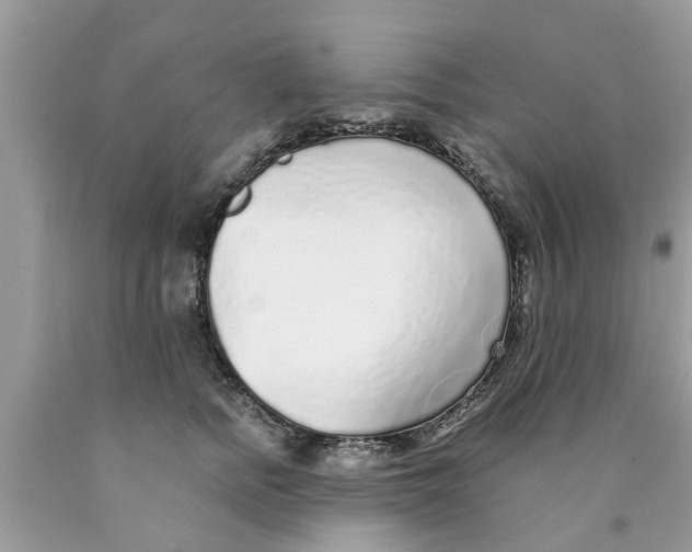 X0000089880758200707262209