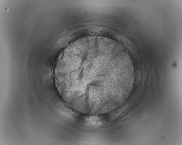 X0000089880759200707262209