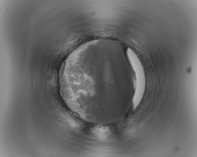 X0000089880760200707262209