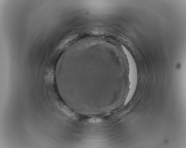 X0000089880762200707262209